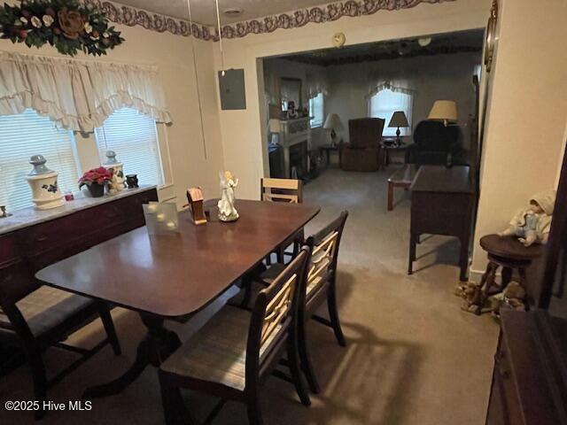 302 South Lower Street Elizabethtown, NC 28337 - Photo 10 of 12 Dining Room