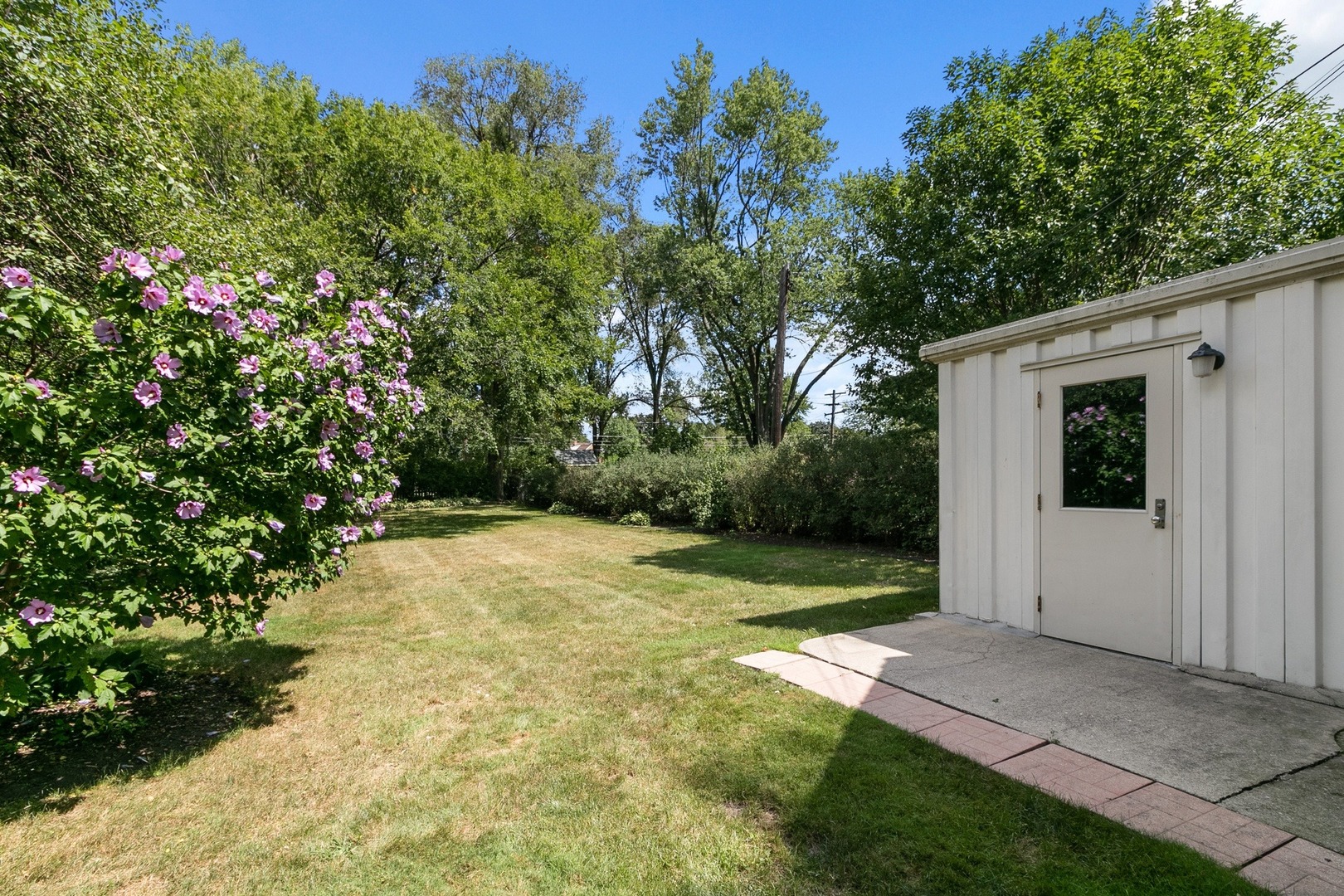 258 Southcote Road Riverside, IL 60546 - Photo 26 of 31 a view of backyard of house with trees