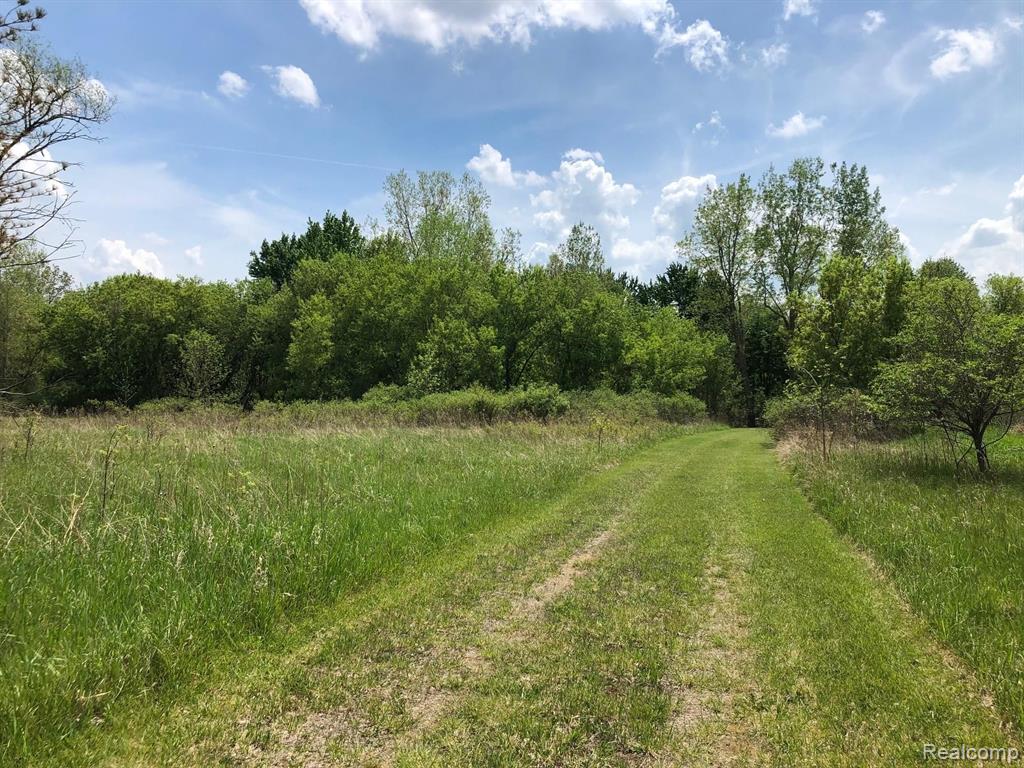 Vl Brower Road Fowlerville, MI 48836 - Photo 2 of 3