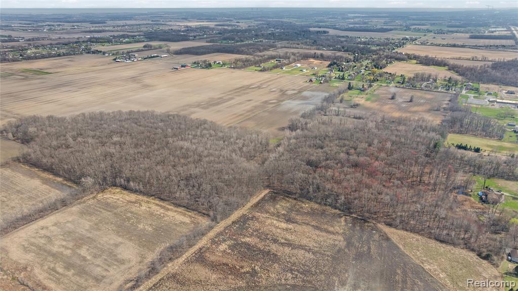 5 Carleton Rockwood Road Carleton, MI 48117 - Photo 16 of 26