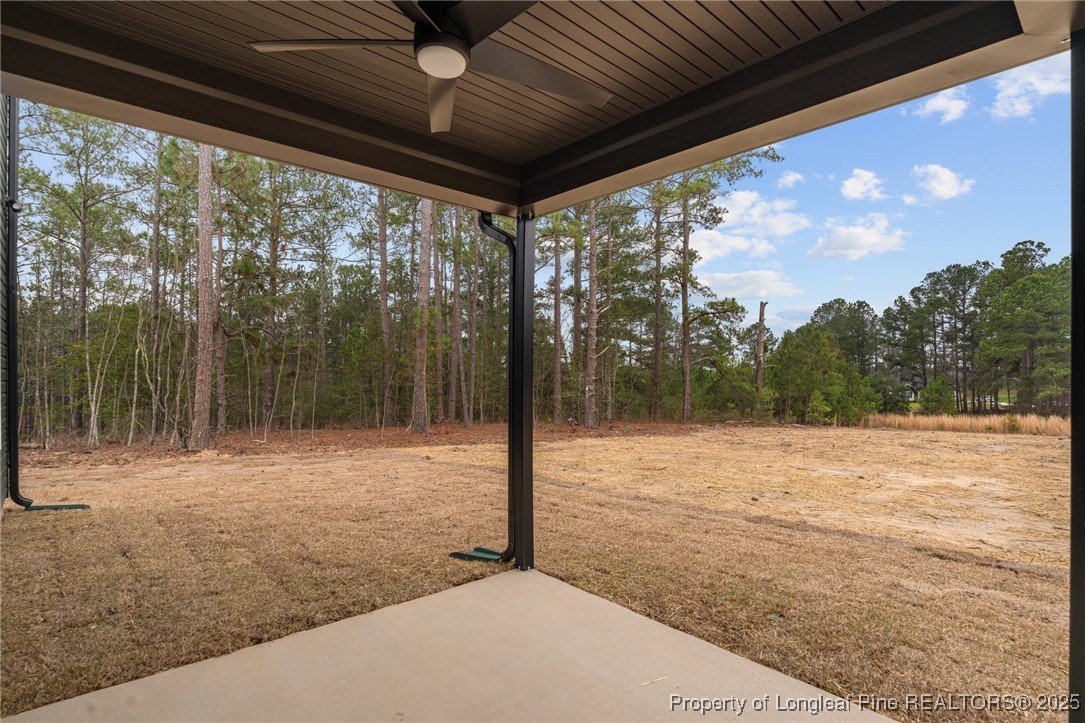 71 Persimmon Tree Drive Cameron, NC 28326 - Photo 36 of 50