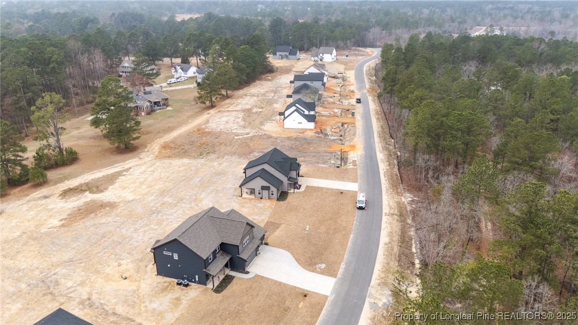 71 Persimmon Tree Drive Cameron, NC 28326 - Photo 46 of 50