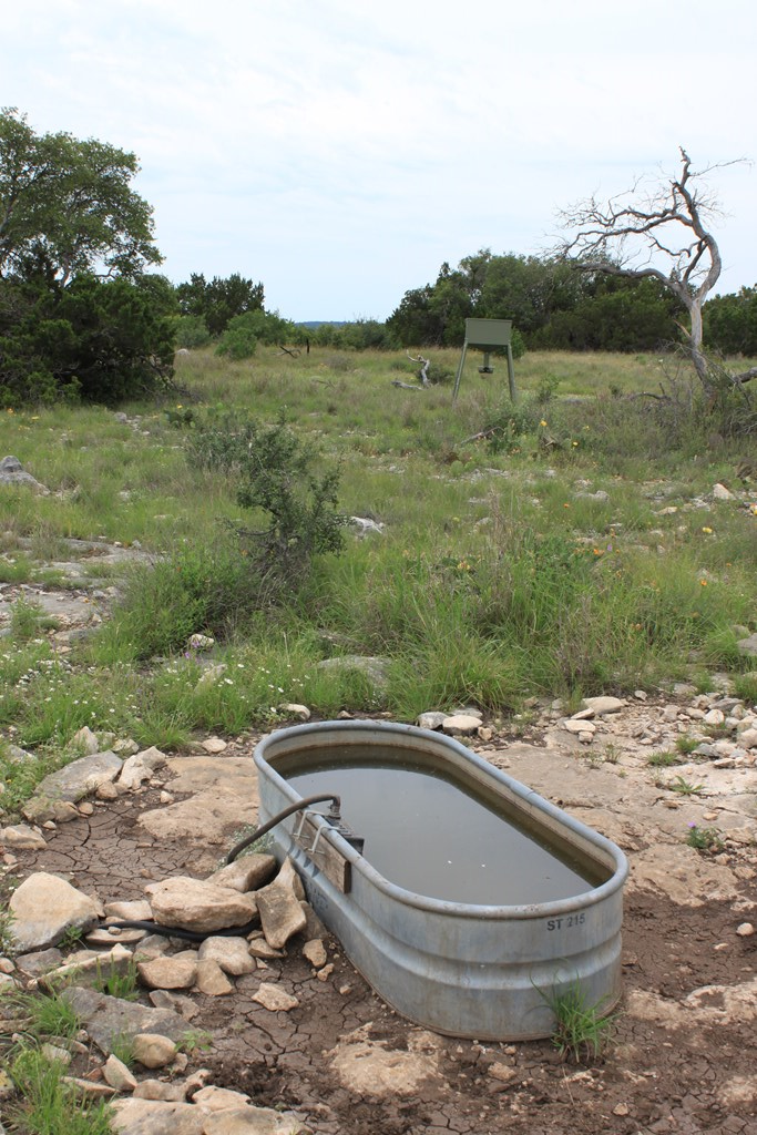 0 Oak Ridge Ranch Junction Junction, TX 76849 - Photo 11 of 19