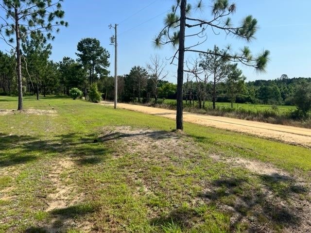 14647 Harrell Road Opp, AL 36467 - Photo 29 of 50 Gallery Image 29