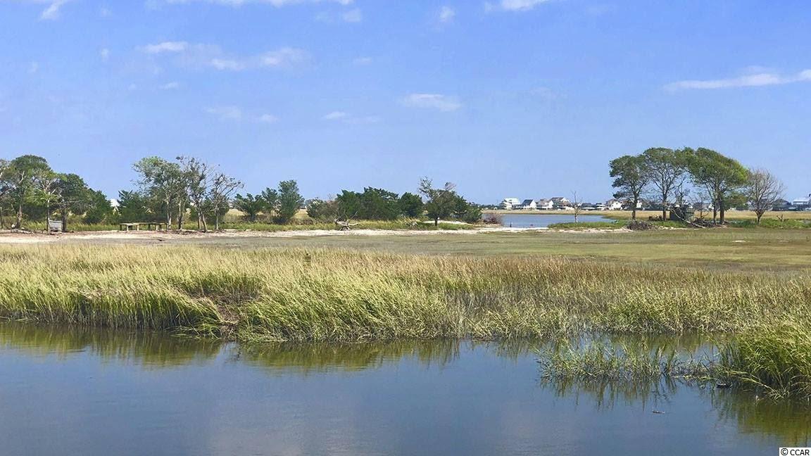 170 Woodland Park Loop Murrells Inlet, SC 29576 - Photo 24 of 34