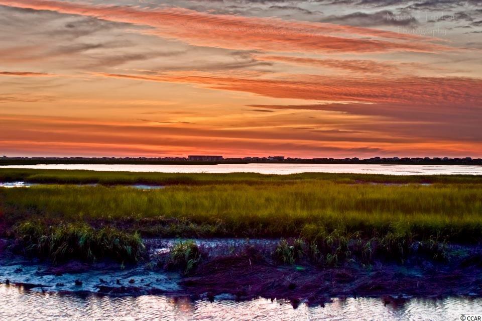 170 Woodland Park Loop Murrells Inlet, SC 29576 - Photo 25 of 34