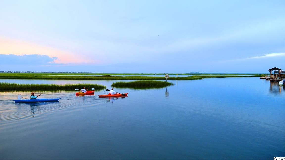 170 Woodland Park Loop Murrells Inlet, SC 29576 - Photo 26 of 34