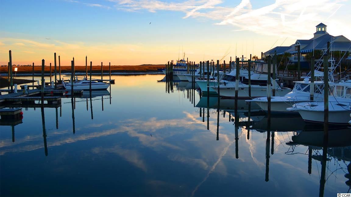 170 Woodland Park Loop Murrells Inlet, SC 29576 - Photo 27 of 34