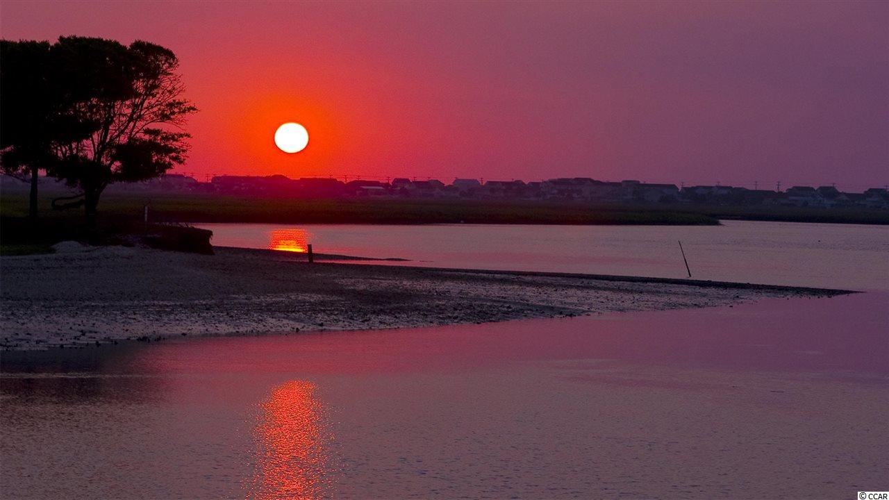 170 Woodland Park Loop Murrells Inlet, SC 29576 - Photo 28 of 34