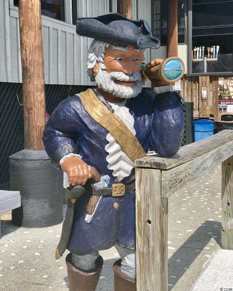 170 Woodland Park Loop Murrells Inlet, SC 29576 - Photo 31 of 34