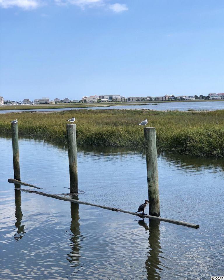 170 Woodland Park Loop Murrells Inlet, SC 29576 - Photo 32 of 34