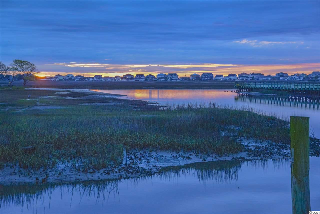 170 Woodland Park Loop Murrells Inlet, SC 29576 - Photo 34 of 34