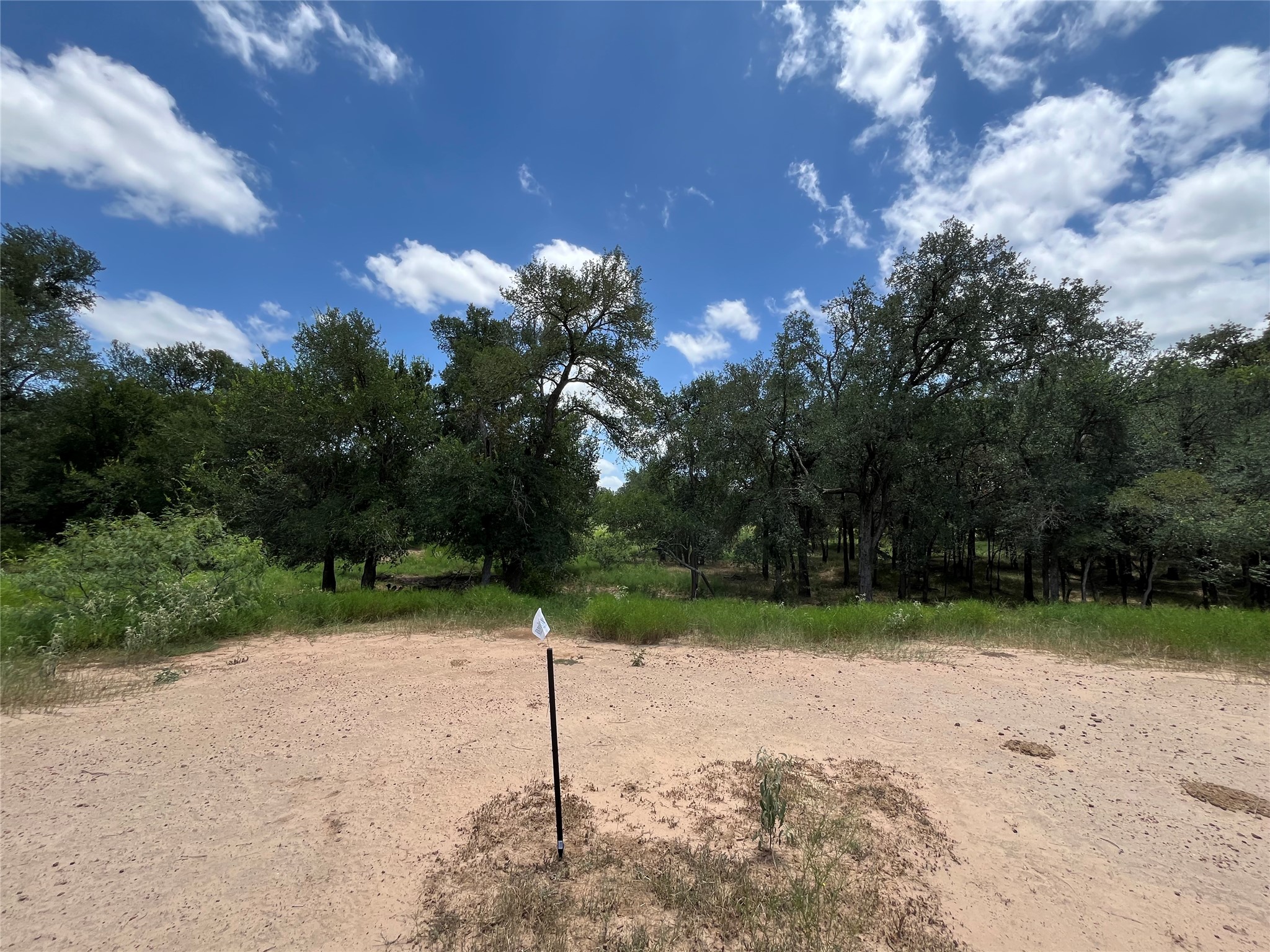 1026 Red Town Road Elgin, TX 78621 - Photo 18 of 20 a backyard of a house with lots of green space