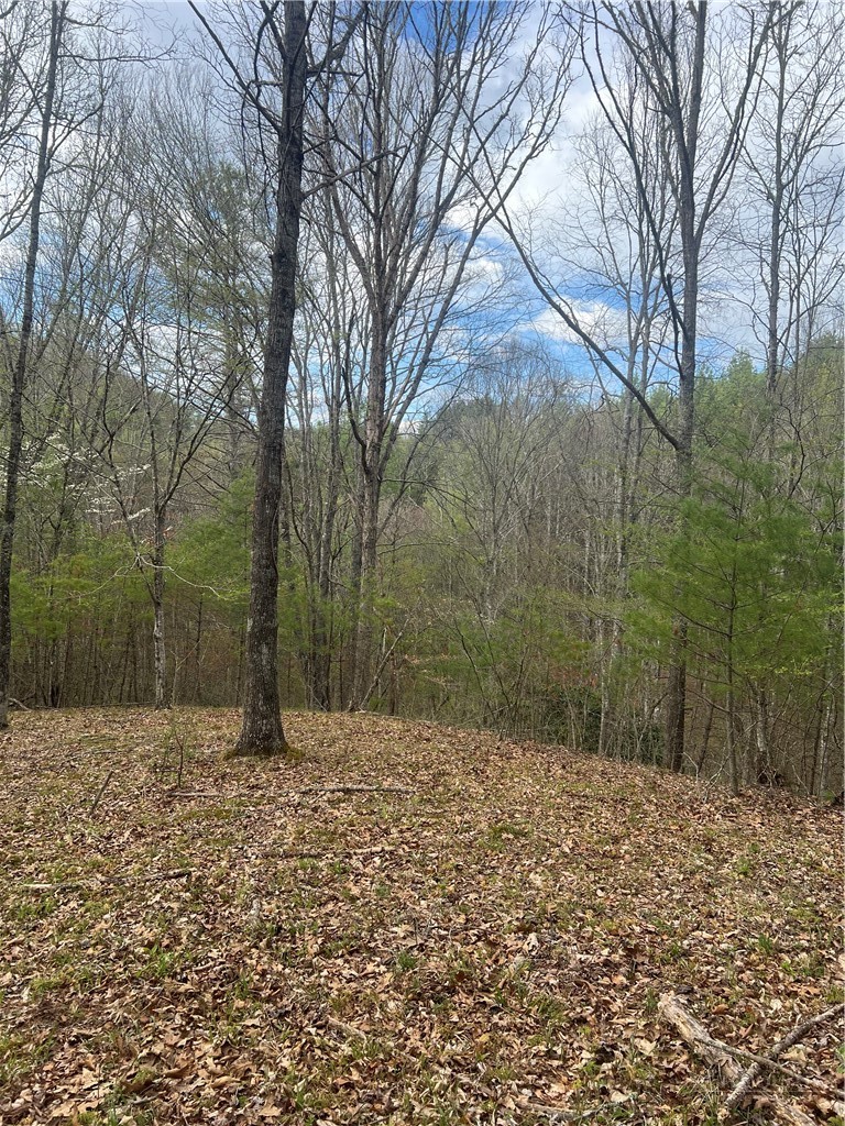 River Bend Hills Road Crumpler, NC 28617 - Photo 1 of 3
