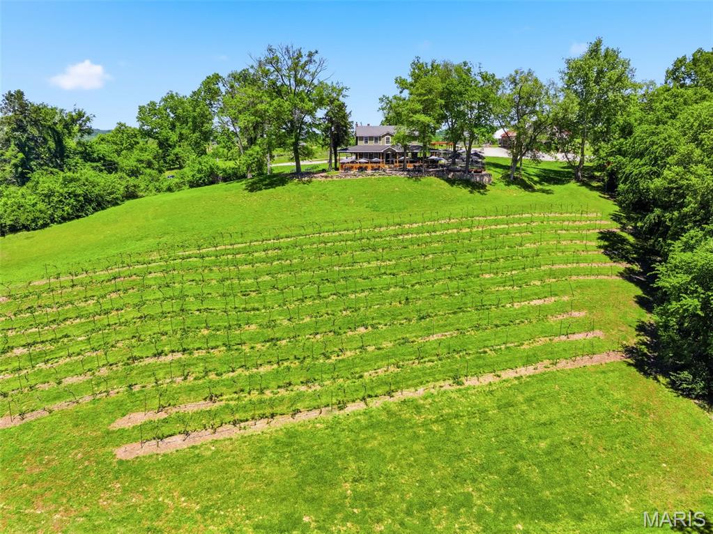 15088 Boone Monument Road Marthasville, MO 63357 - Photo 52 of 81