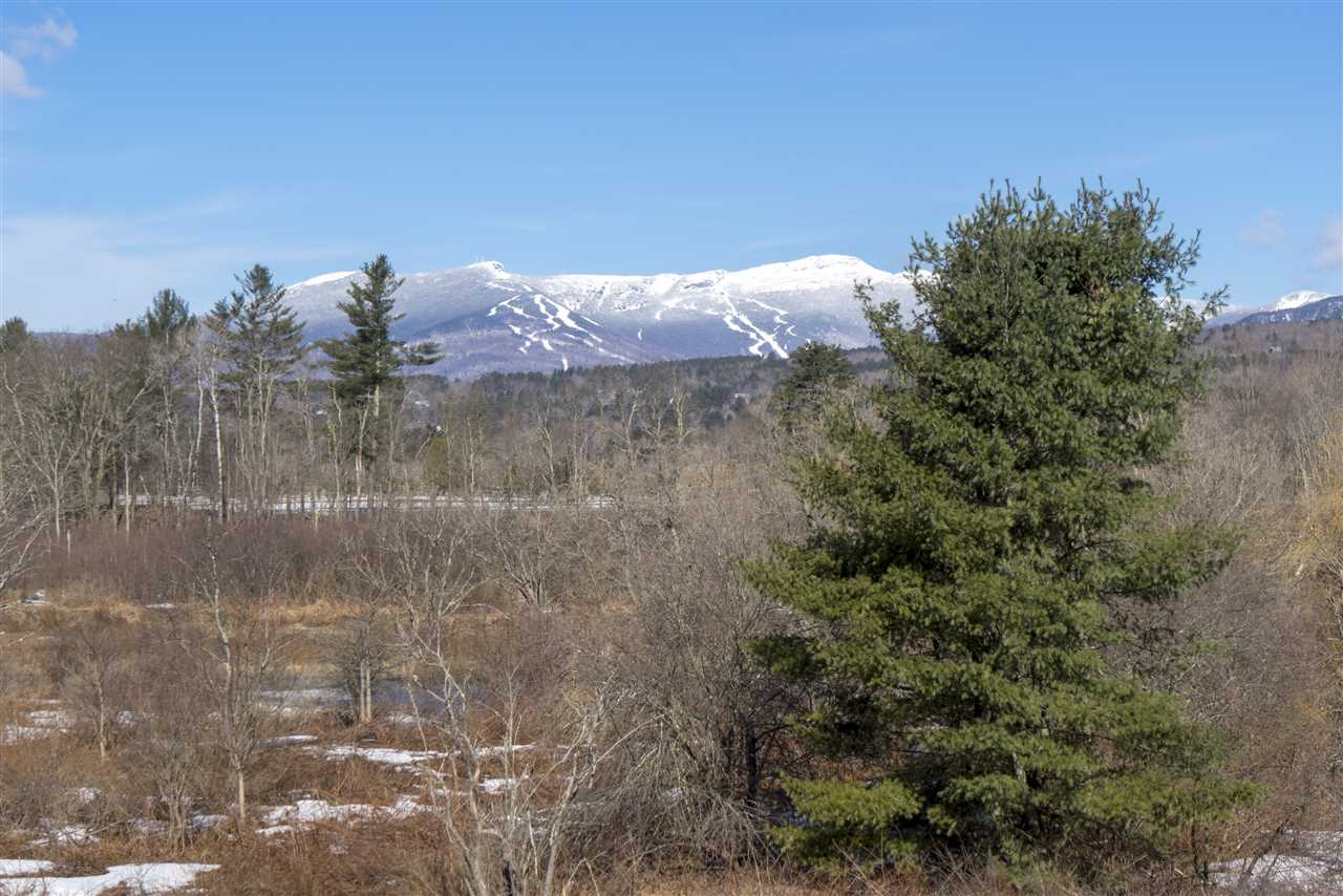 36 Hillcrest Road, Unit 1 Stowe, VT 05672 - Photo 3 of 9 Gallery Image 3