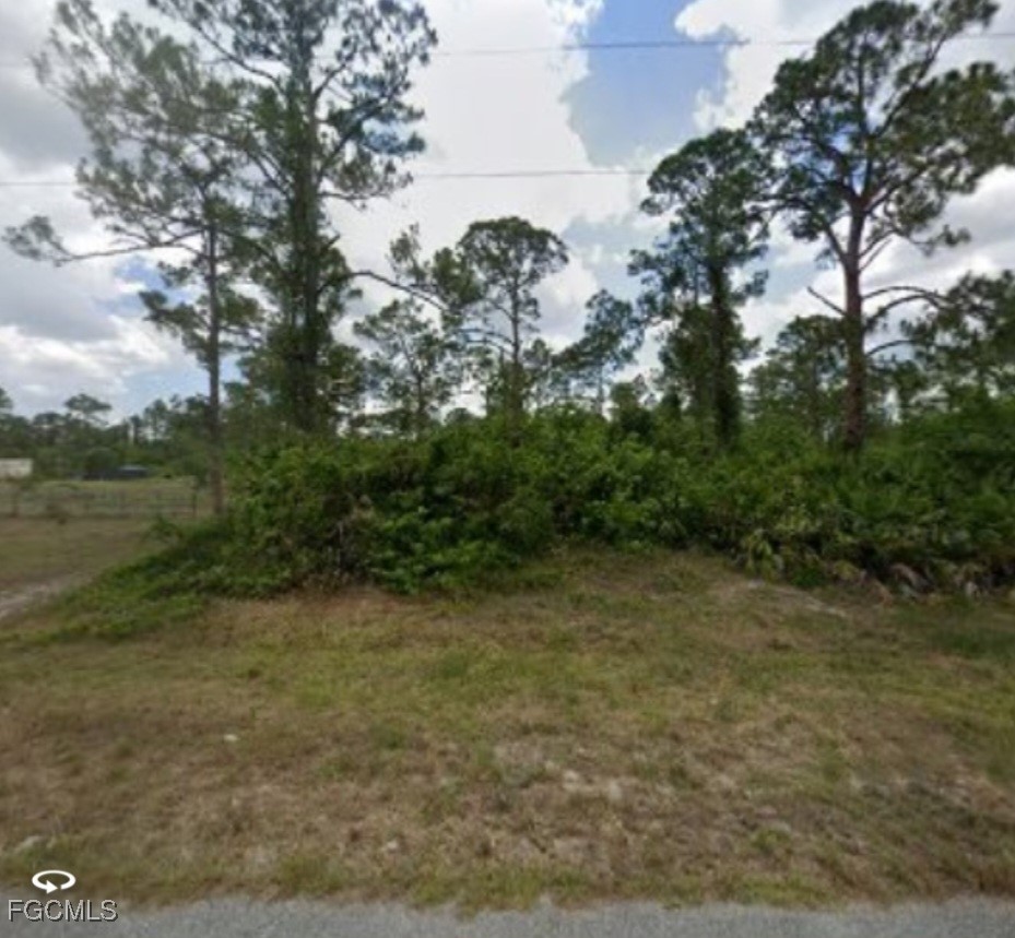 2114 Hamilton Avenue Alva, FL 33920 - Photo 2 of 2 a view of a yard with trees