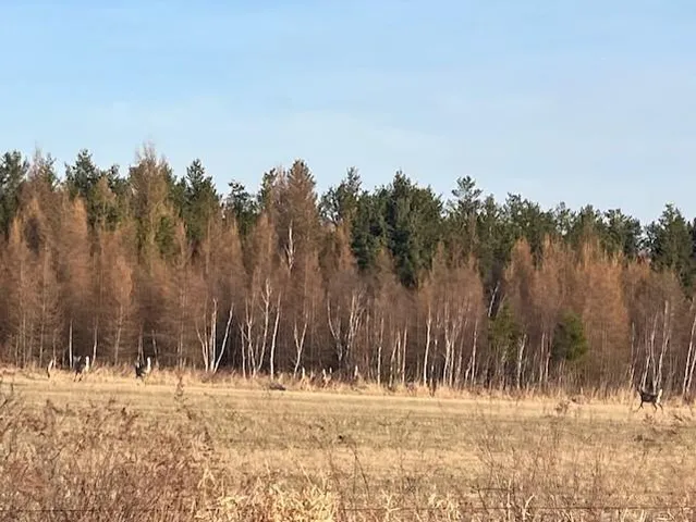 $54,500 | Xxx Lot 4-bl 2 Xxx Road North, Hinckley, MN 55037