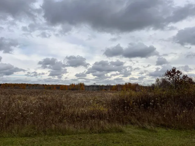 $54,500 | Xxx Lot 4-bl 2 Xxx Road North, Hinckley, MN 55037