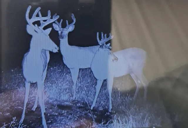 $54,500 | Xxx Lot 4-bl 2 Xxx Road North, Hinckley, MN 55037