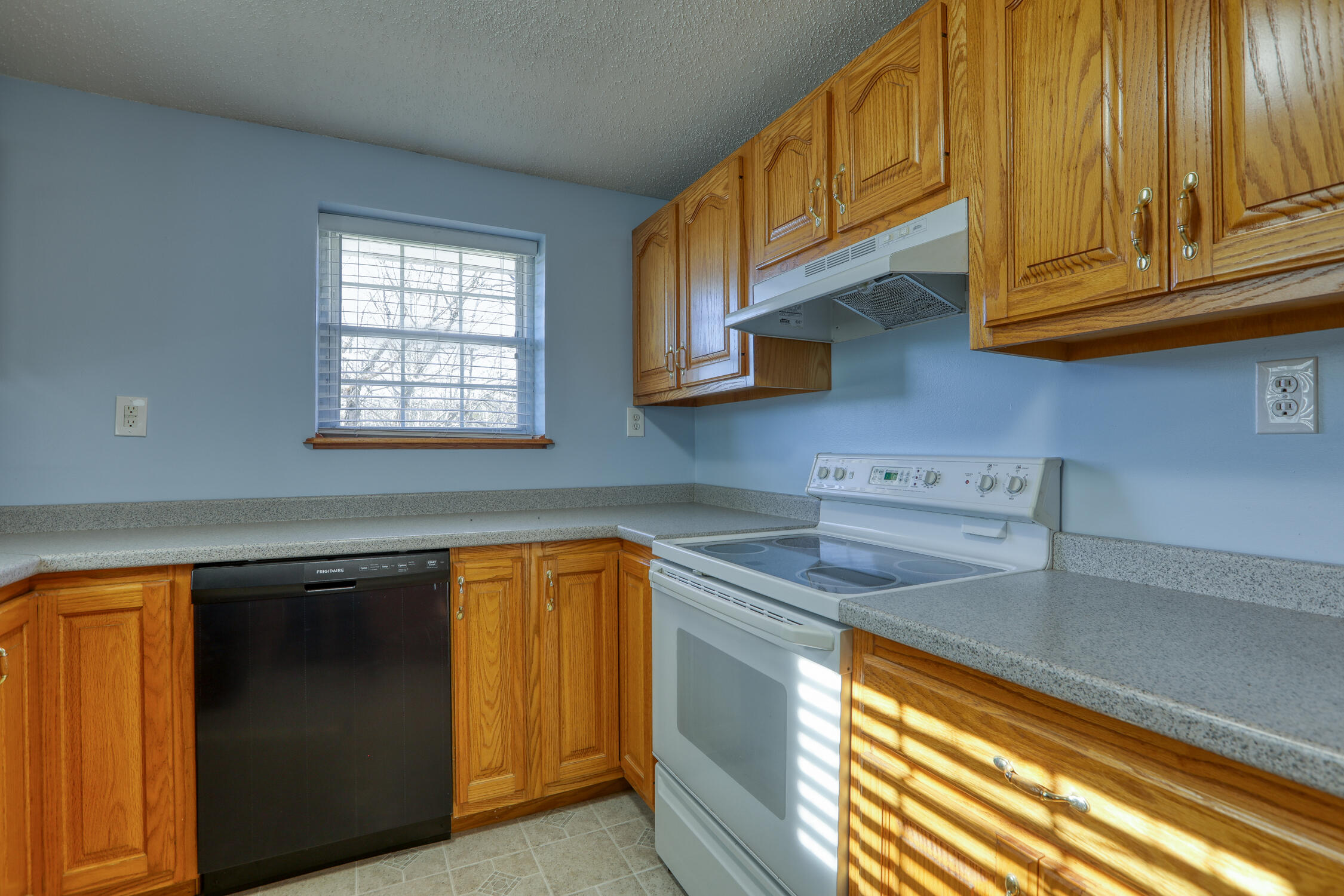 356 Gravely Valley Road Surgoinsville, TN 37873 - Photo 23 of 69 BG. 356 Gravely. Surg MLSb (3 of 50) V