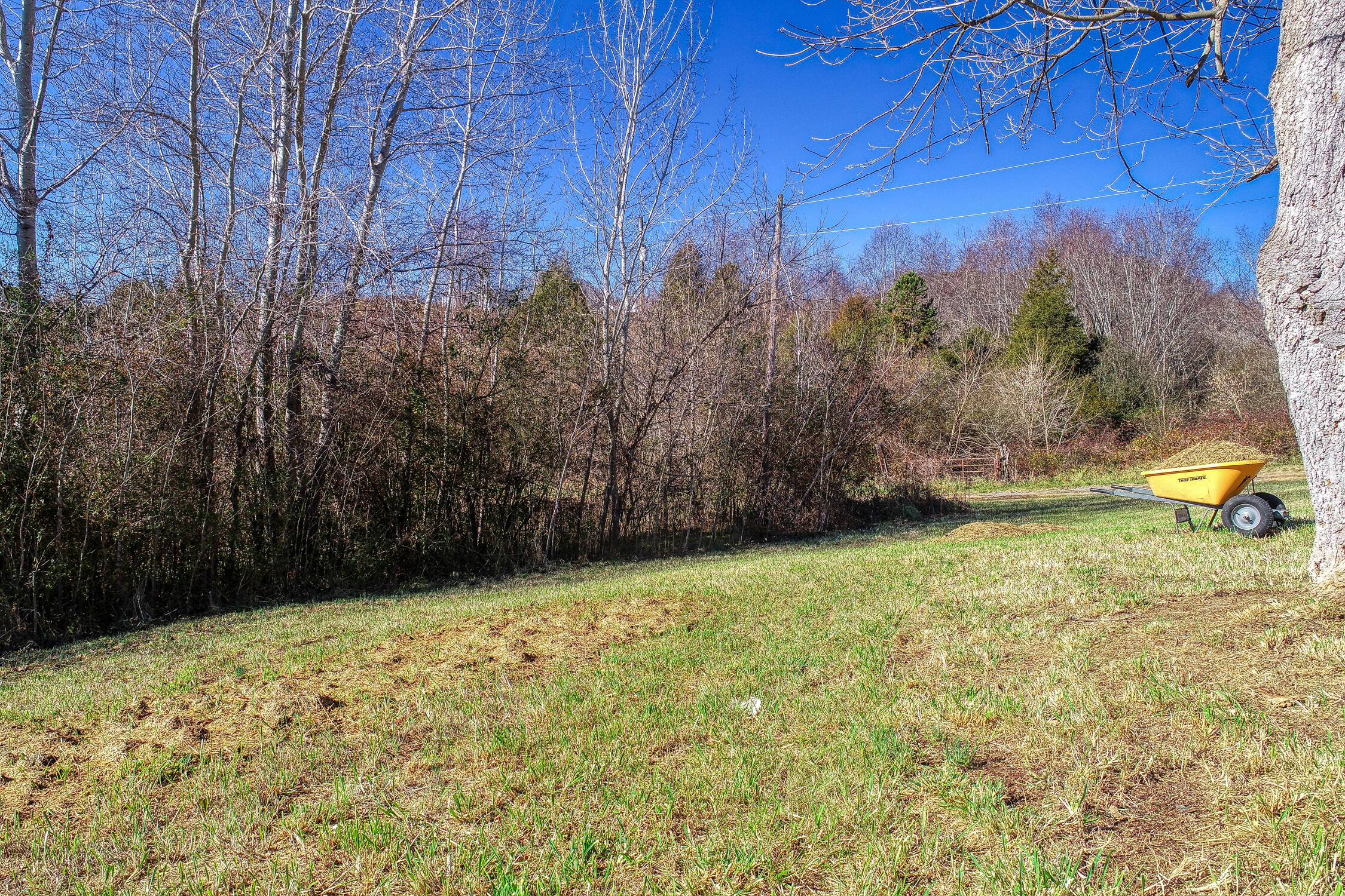 356 Gravely Valley Road Surgoinsville, TN 37873 - Photo 65 of 69 BG. 356 Gravely. Surg MLSa (12 of 29) V