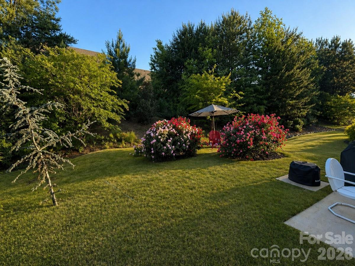 134 Dry Rivers Lane Mooresville, NC 28117 - Photo 28 of 29 a view of outdoor space and yard
