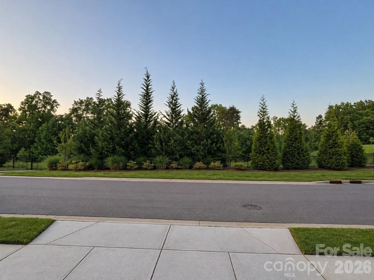 134 Dry Rivers Lane Mooresville, NC 28117 - Photo 29 of 29 a view of a road with a big yard