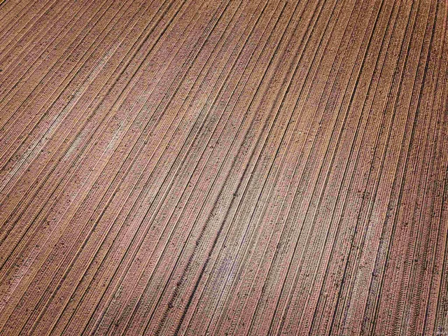 $221,500 | 3 East Farmington Road, Gas City, IN 46933