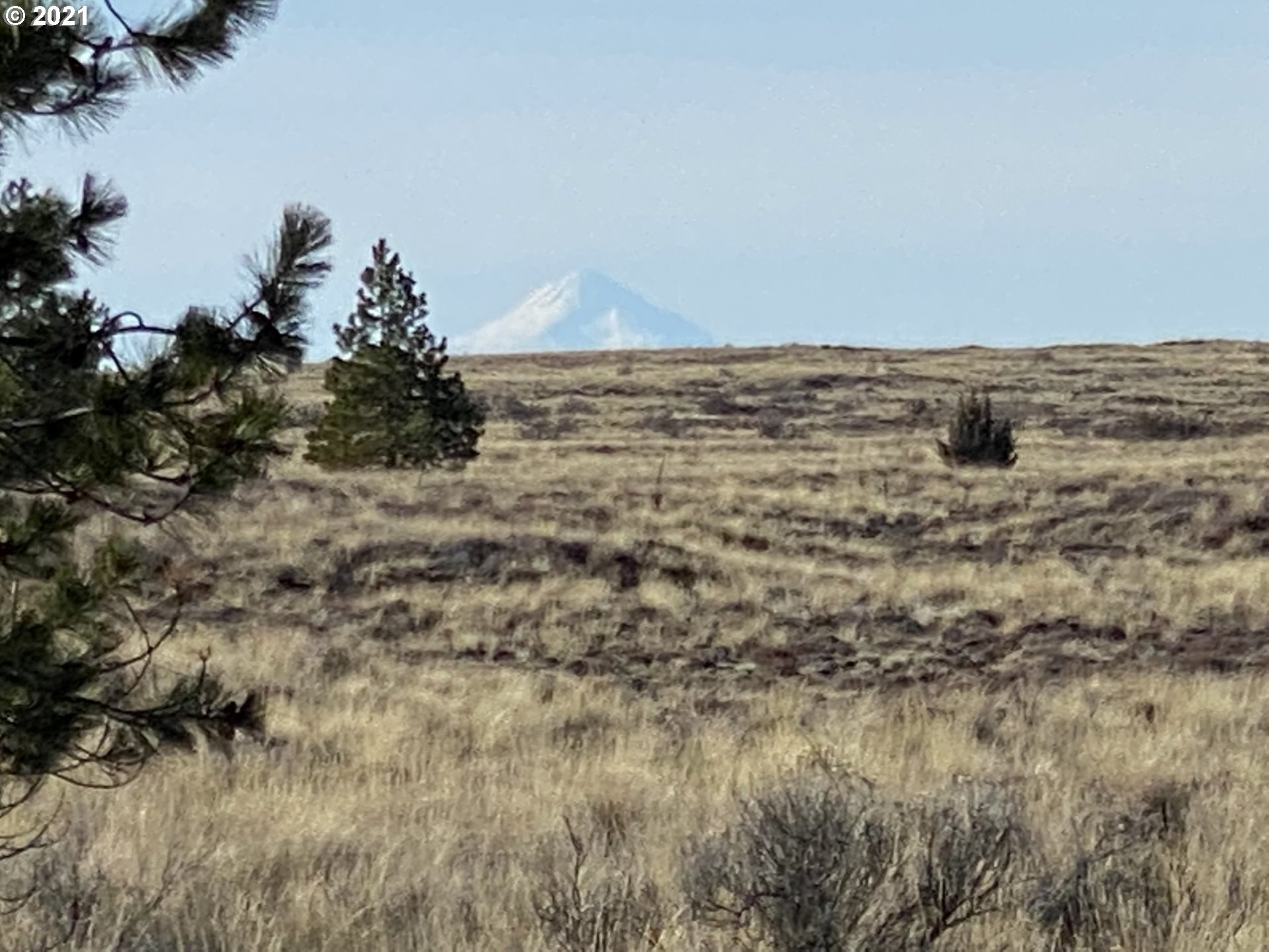 Dot Road, Unit 15 Roosevelt, WA 99356 - Photo 11 of 22 Gallery Image 11