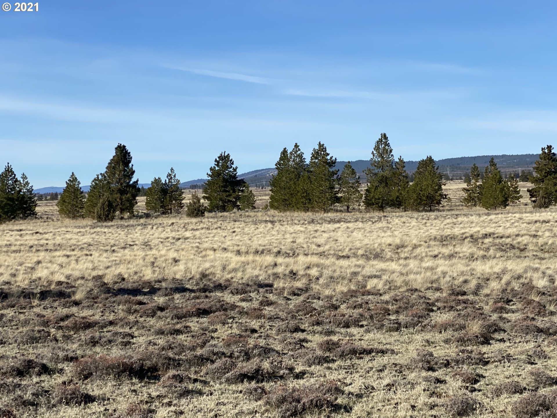 Dot Road, Unit 15 Roosevelt, WA 99356 - Photo 12 of 22 Gallery Image 12