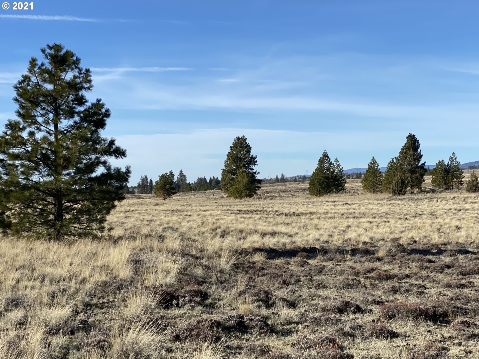 Dot Road, Unit 15 Roosevelt, WA 99356 - Photo 13 of 22 Gallery Image 13