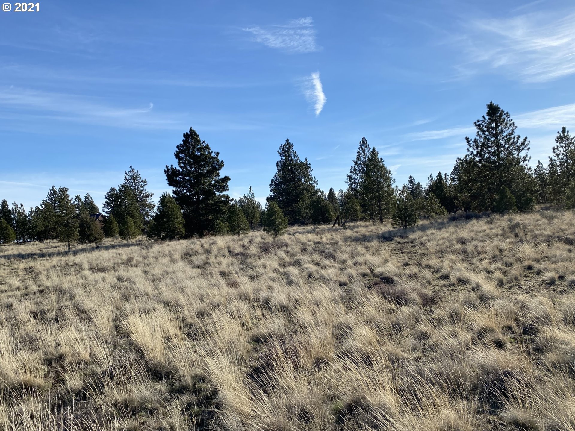 Dot Road, Unit 15 Roosevelt, WA 99356 - Photo 14 of 22 Gallery Image 14