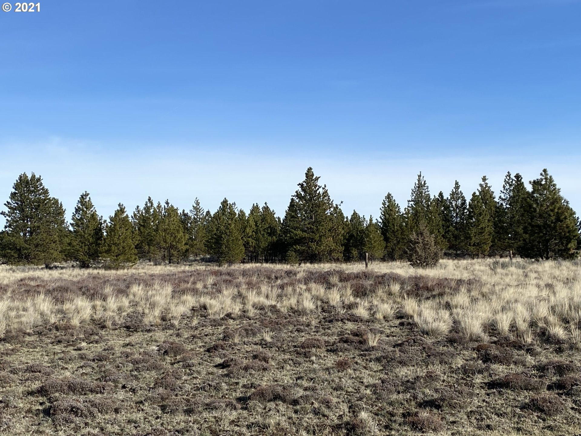 Dot Road, Unit 15 Roosevelt, WA 99356 - Photo 15 of 22 Gallery Image 15