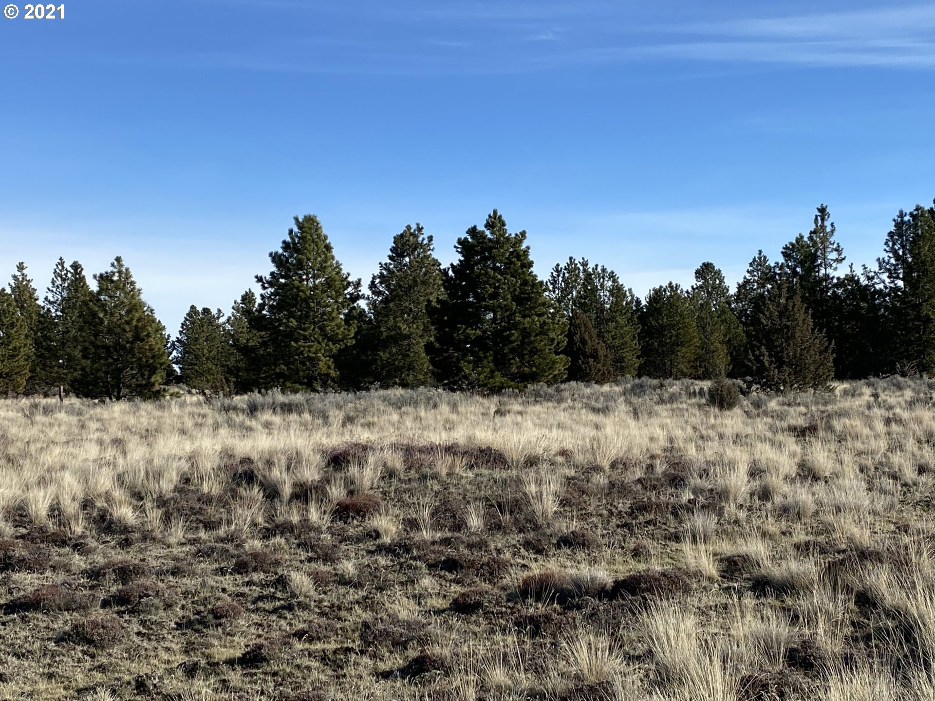 Dot Road, Unit 15 Roosevelt, WA 99356 - Photo 16 of 22 Gallery Image 16