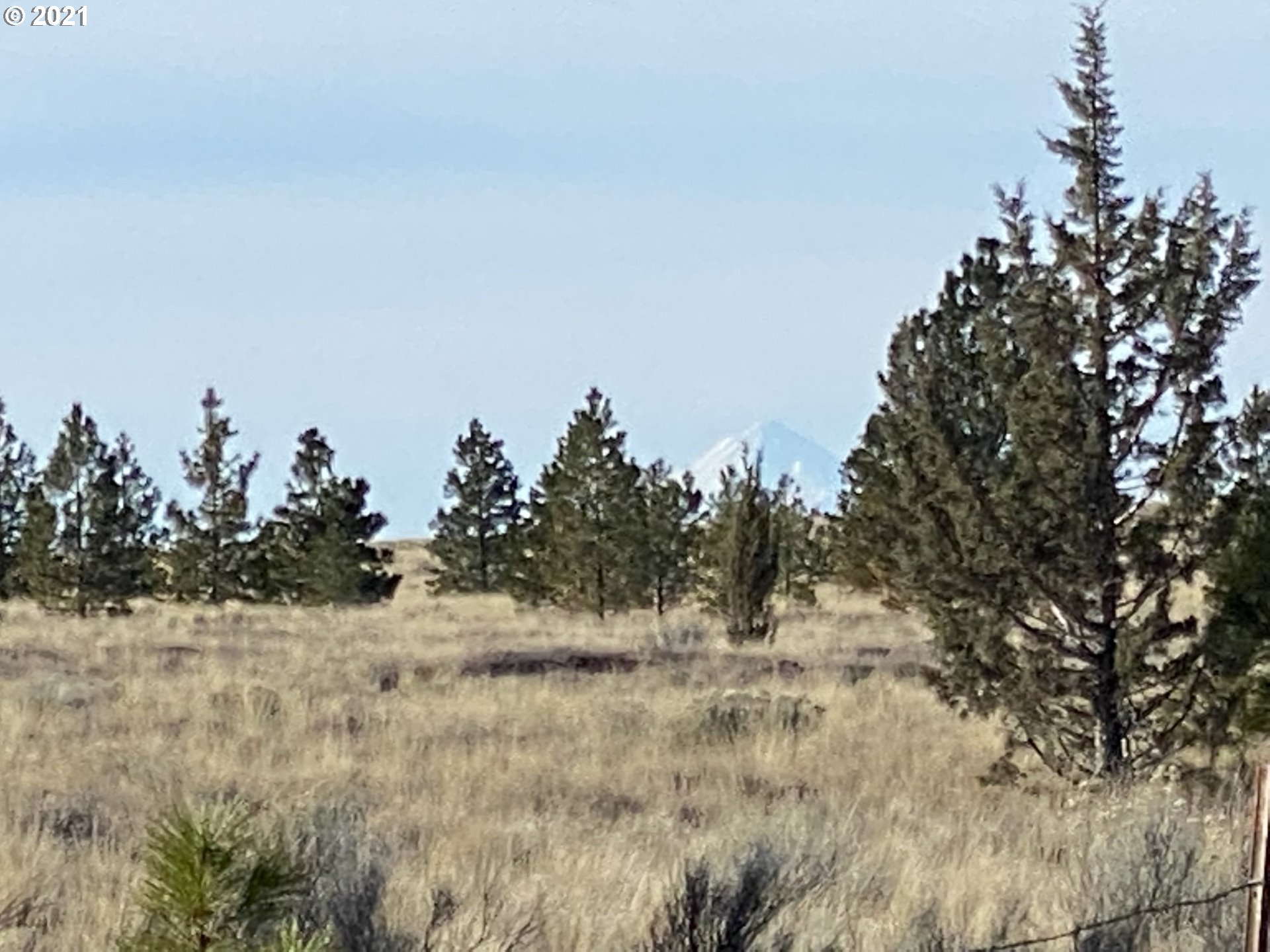 Dot Road, Unit 15 Roosevelt, WA 99356 - Photo 4 of 22 Gallery Image 4
