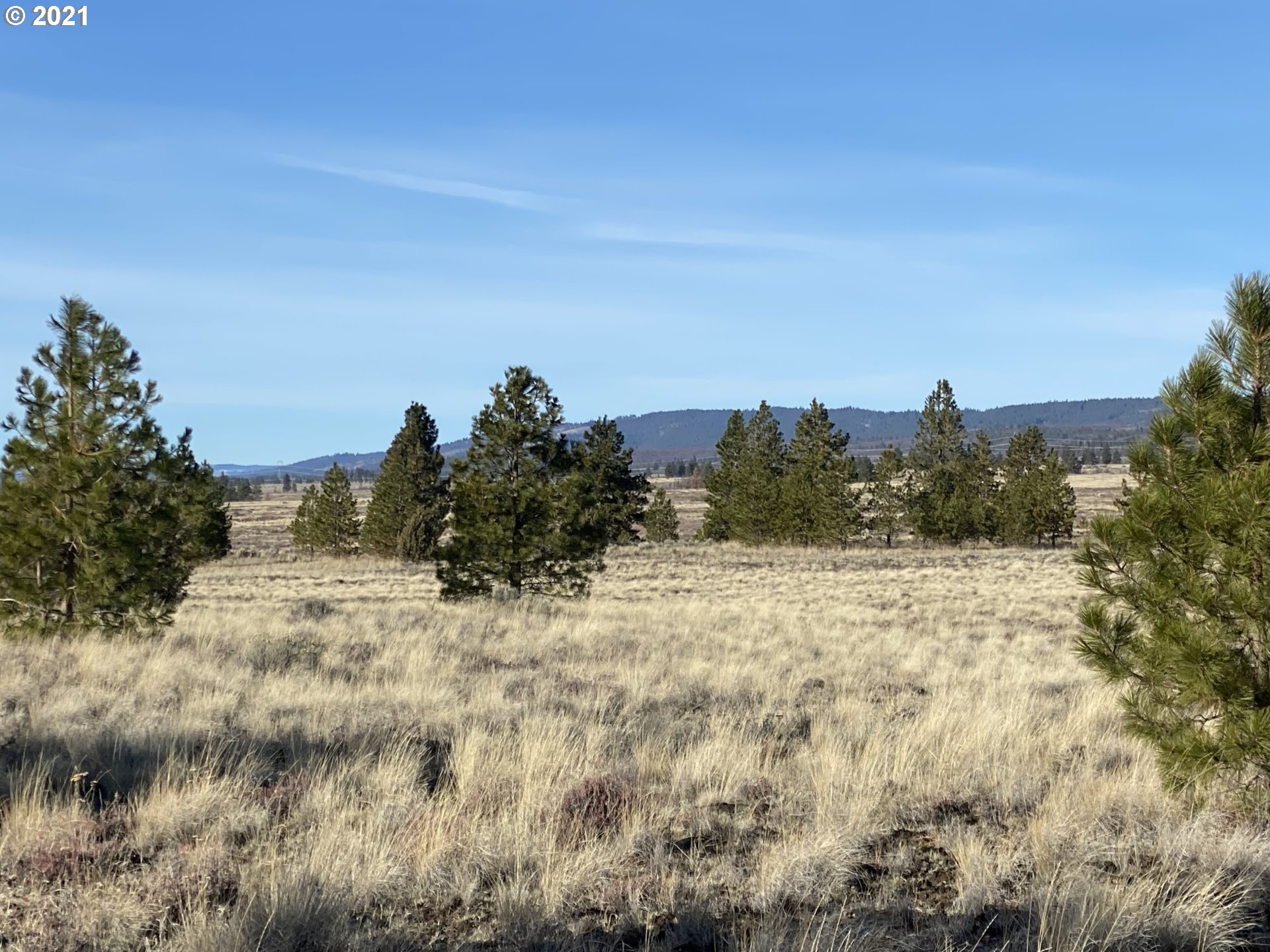 Dot Road, Unit 15 Roosevelt, WA 99356 - Photo 5 of 22 Gallery Image 5