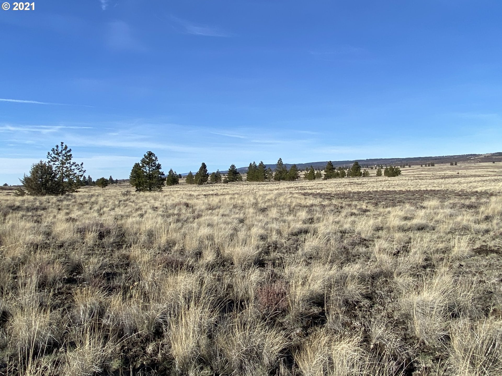 Dot Road, Unit 15 Roosevelt, WA 99356 - Photo 7 of 22 Gallery Image 7