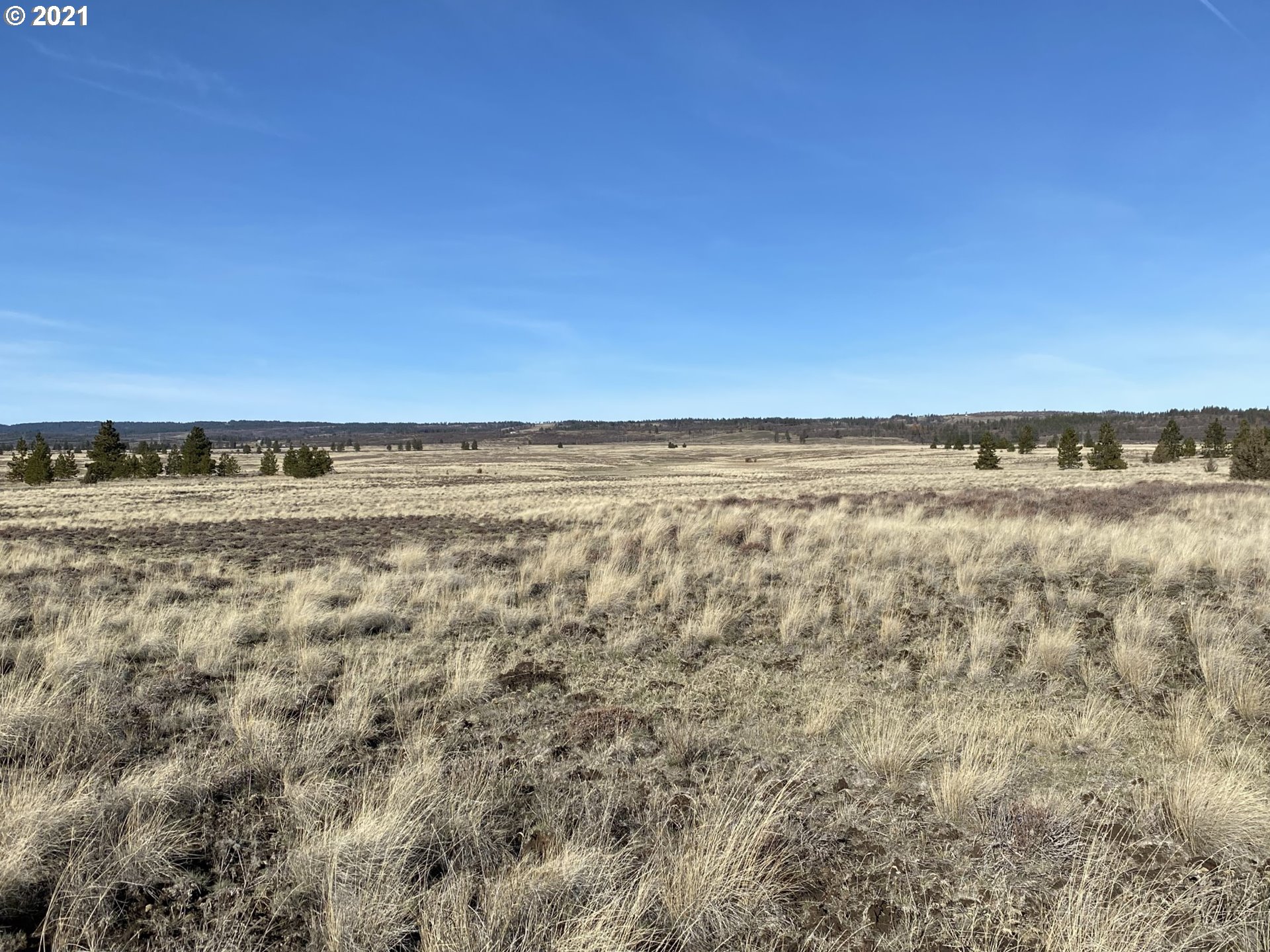 Dot Road, Unit 15 Roosevelt, WA 99356 - Photo 8 of 22 Gallery Image 8