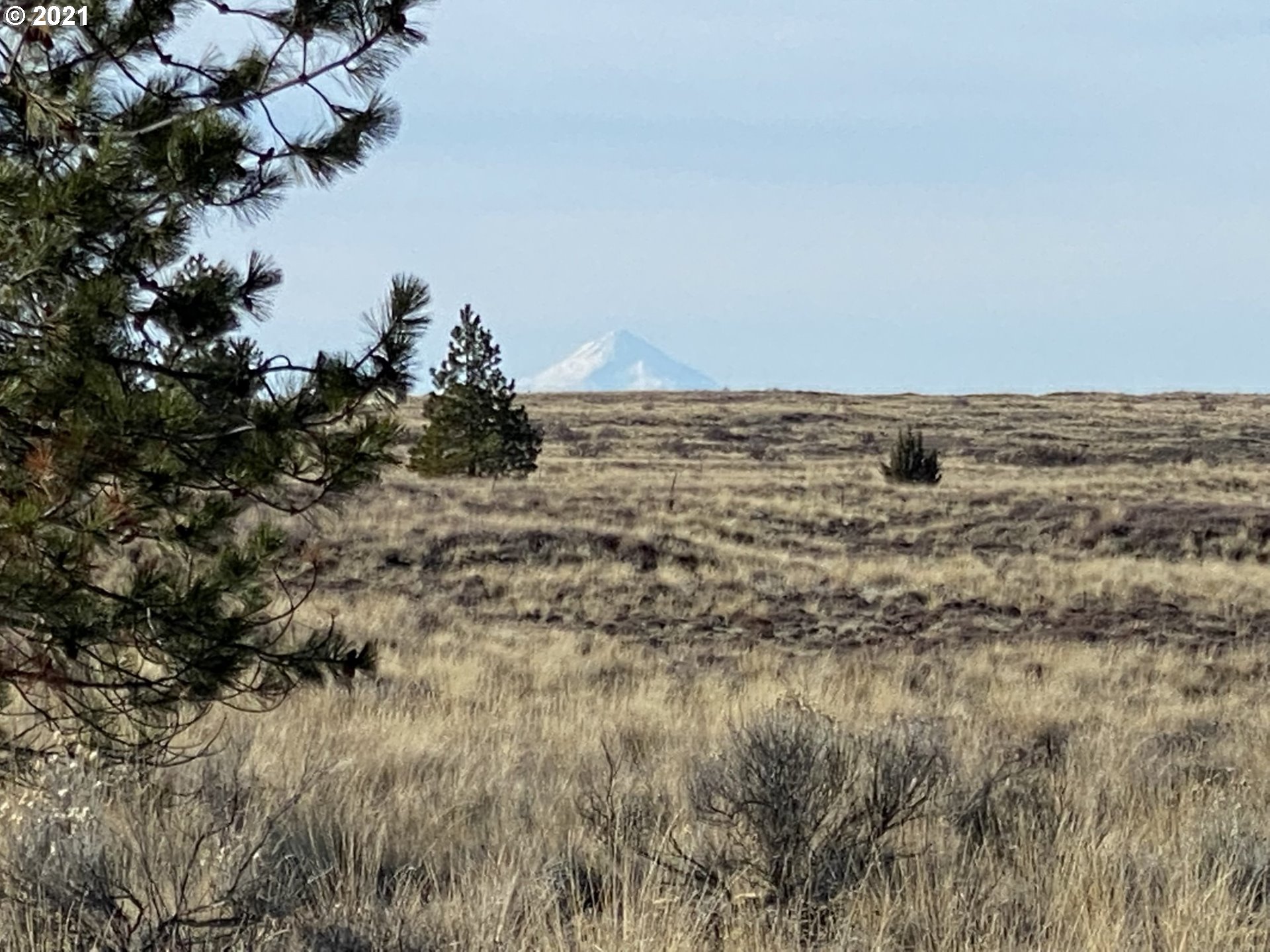 Dot Road, Unit 15 Roosevelt, WA 99356 - Photo 10 of 22 Gallery Image 10