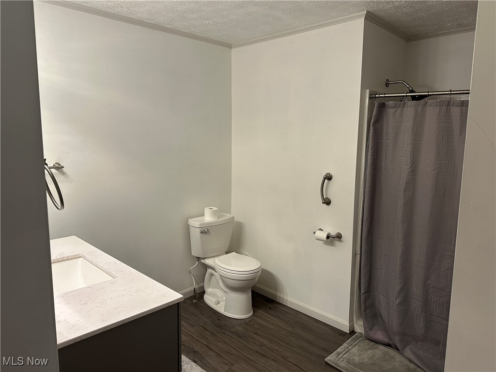 59558 Sandy Ridge Road Barnesville, OH 43713 - Photo 26 of 46 Bathroom featuring vanity, toilet, a textured ceiling, a shower with curtain, and hardwood / wood-style floors