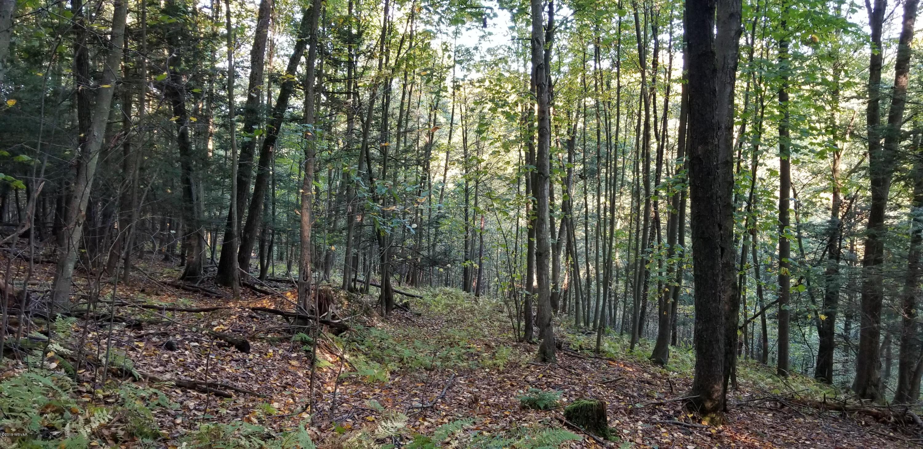 Turkey Bottom Road Road Muncy, PA 17756 - Photo 16 of 21 20191005_091831
