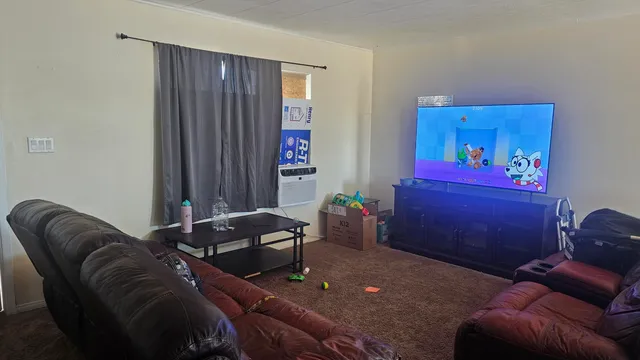 a room with furniture and a potted plant