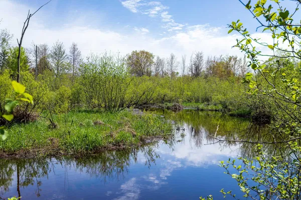 $399,000 | 0 Makinen Road, Kaleva, MI 49645