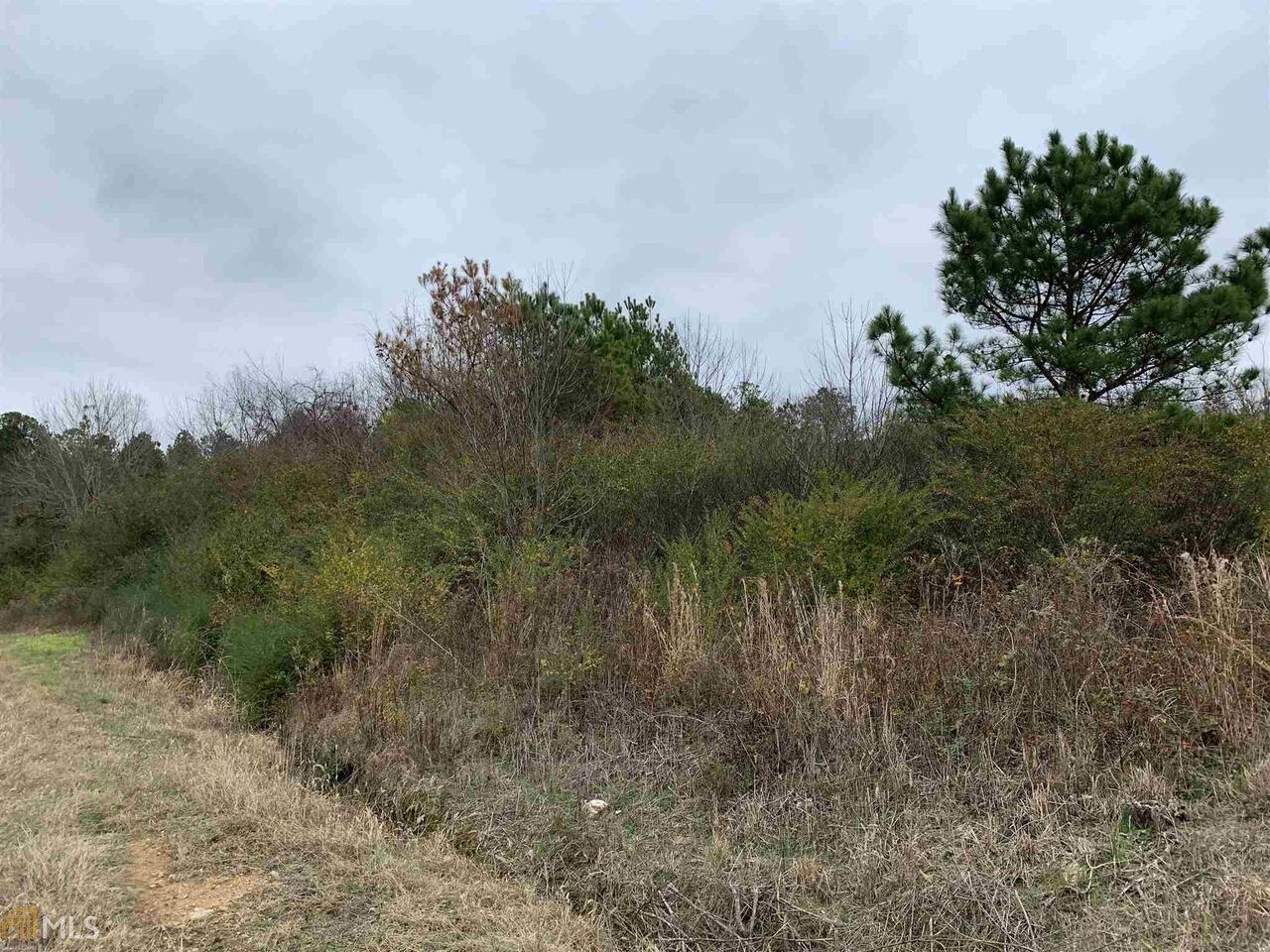 0 Wayside Road Kingston, GA 30103 - Photo 1 of 1 a view of a lake