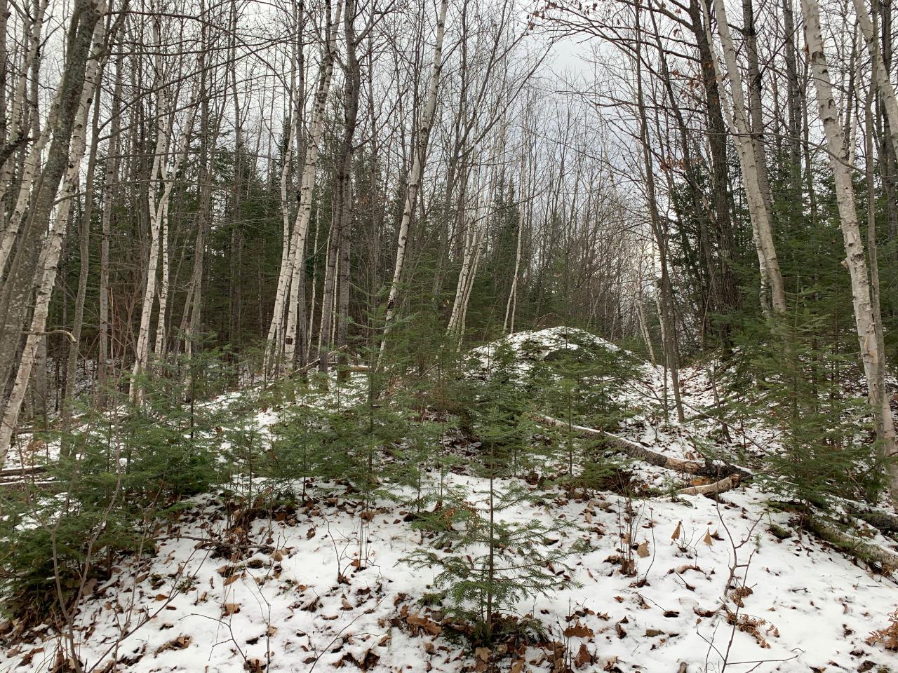 Off Sutton Road Minocqua, WI 54548 - Photo 10 of 19 Gallery Image 10