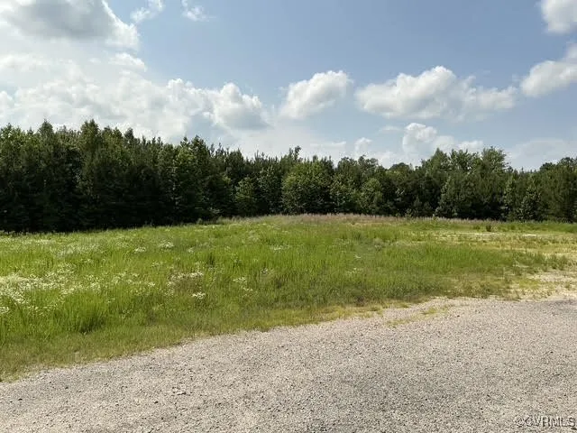 a view of a field with an ocean