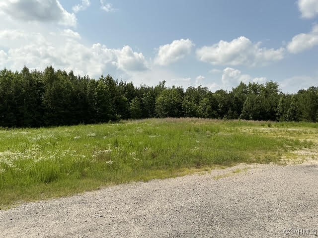 View of wooded area featuring a rural view