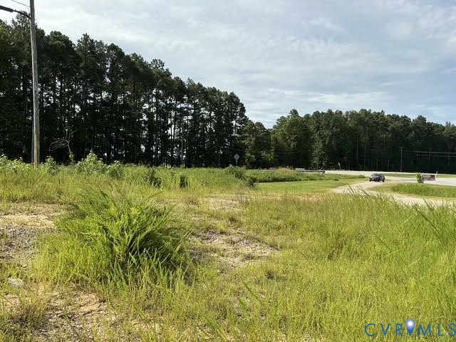 0 Cox Road Blackstone, VA 23824 - Photo 2 of 13 a view of a swimming pool and trees in the background