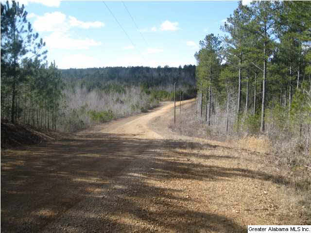 Turkey Ridge, Unit 36 Ragland, AL 35131 - Photo 7 of 13